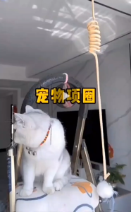 ปลอกคอสัตว์เลี้ยงปลอกคอแมวและสุนัขปลอกคอญี่ปุ่นกระดิ่งแมวกวักกระดิ่งแมวสไตล์ญี่ปุ่น