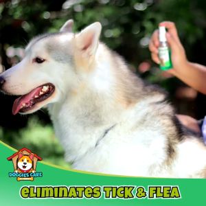 Madre De Cacao Pure Oil Extract 100ml w/ Guava Moringa Neem Acapulco & VCO Healing Oil For Pets