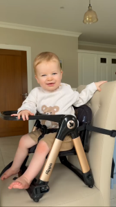 Foldable Baby High Chair Portable Lightweight Baby Dining Chair for Camping Traveling Studying