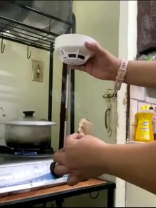 Daytech Smoke Detector: A Comprehensive Guide