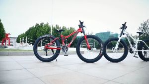 Xe đạp thể thao Foreknow bánh béo phù hợp cho người cao 1m50 trở lên