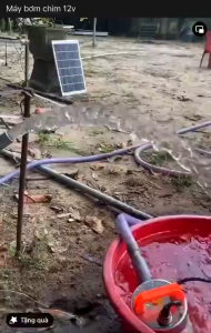 Bơm chìm 12V (12 vôn ) bơm chìm Máy bơm tõm hút nước hồ cá bơm nước tưới cây