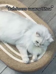 กระดานลับเล็บแมวรูปวงรีจากป่านซิสัล ราคาถูก วัสดุทนทานแข็งแรง เล่นบอลไม่หยุด กันลื่นและทนความชื้น พื้นที่กว้างขวาง ขัดได้โดยไม่ทำให้เล็บเสียหาย ใช้ได้หลายโอกาส แผ่นลับเล็บแมว ลับเล็บแมว