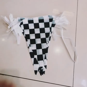 10Pcs Motorsport Flag Kit Waving Flags & 15M String Checkered Racing Pennant Display Line