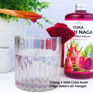 Minuman Sehat untuk Kesehatan: Honey Buah Naga, Cuka Buah Naga Probiotik & Detox Diet