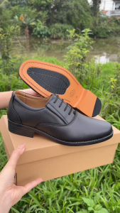 Giày Tư Trang Đế Vàng mã GV02 Giày Lười Nam Da Bò Cao Cấp Tặng kèm 1 đôi tất và 1 đôi lót quế