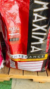 อาหารเม็ด แม็กซิม่า  แบบแบ่งขาย 1kg Maxima Cat   สูตรเนื้อแกะและข้าว บำรุงขน สำหรับแมวทุกวัย ทุกสายพันธุ์