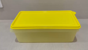 Tupperware Fresh Keeper 2.1L Rectangular Food Storage (Sheer Yellow) - Airtight Bread Cracker & Snack Server | RAYA