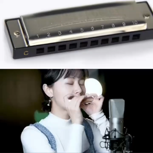 RIXTON Harmonica 10 Hole Stainless Steel Mouth Organ for Beginner Children