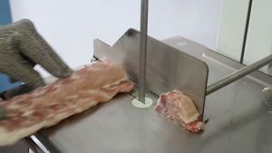Pisau Potong Daging & Tulang: Memahami Mata Gergaji Pisau Bone Saw 1200mm Mesin BSW120