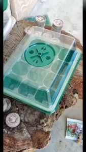 Starter กล่องถาดพืชต้น 12 เซลล์รู 1PC กล้องถาดเครื่องมือปลูกไฮโดร สวนหว่าน พืชต้น กล่องถาดพืช ระบบภายในอาคาร