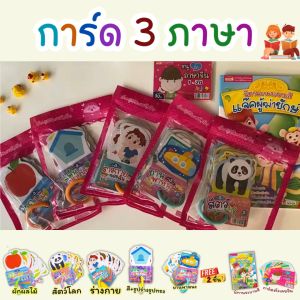 การ์ด 3 ภาษา อังกฤษ-ไทย-จีน ชุดสุดคุ้ม flash card 5 หมวด แถมฟรี! นิทานภาพระบายสี + การ์ดตัวเลขจีน little Books