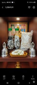 กระดิ่งเงินกระดิ่งทอง 1200ตัว 299บาทแถมข้าวตอก/วิตามิน/วิธีเลีัยง/คาถาบูชา/คาถาขอโชค/ธูปเลขฟรี