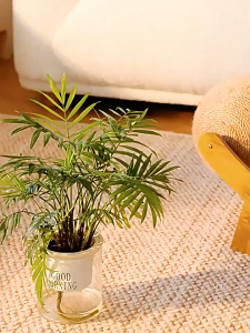 Pet Lounge Cat Scratch Pad Cardboard Cat Scratching with Ball toys Cat Scratcher