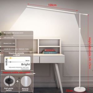 Brightness Protection Eyesight Adjustable Floor Lamp