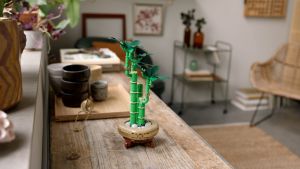 LEGO BOTANICALS 10344 Đồ Chơi Lắp Ráp Cây Thần Tài May Mắn (325 Chi Tiết)