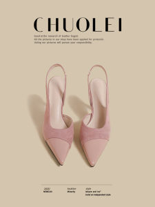 CHUOLEI | Stylish New Spring Enclosed Sandals Thin Heel Shallow Womens Shoes Pink