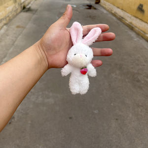 Đồ Chơi Búp Bê Nhỏ 1 Nhân Dân Tệ Quà Tặng Rẻ 6cm-12cm Đồ Chơi Hoạt Hình Cho Trẻ Em Từ 14 Tuổi Trở Lên Đồ Chơi Búp Bê Bằng Vải PP