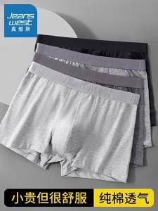 Jeanswest | Cotton Comfortable Large Size Briefs