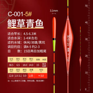 Ultra-Vivid Thick-Tailed Fish Buoy High Sensitivity Carp Nano Buoy for Near-Sighted Elderly Versatile Waterside Fishing Gear