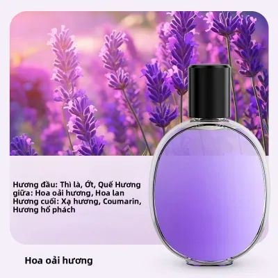 Máy Khuếch Tán Hương Liệu Tự Động Máy Làm Mát Không Khí Máy Phân Phối Tinh Dầu Máy Tạo Độ Ẩm Cho Phòng Tắm Nhà Vệ Sinh Máy Tạo Hương Thơm Không Khí Gia Đình