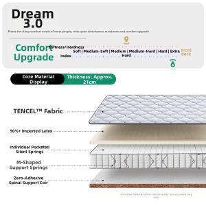 Airland | Orthopedic Household Latex & Coconut Spring Mattress