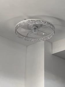 20 Inch Ceiling Fan Light Remote Control 6 Speed DC Motor Quiet Ceiling Fan Lamp for Bedroom Living Room Restaurant