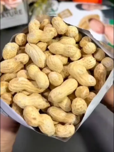 Peanut Roasted 100g-500g Original Flavor Peanut Snack Roasted Peanuts With Shell Peanut Seeds
