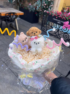 Bộ Đồ Thủ Công DIY Dễ Thương Của Pachat Dog Dễ Làm Tặng Bạn Bè Và Người Thân Bộ Đồ Thủ Công Sáng Tạo Cho Mọi Lứa Tuổi