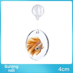 XIAONONGSHAN | Trang Trí Bể Cá Quả Cầu Lơ Lửng Gương Tập