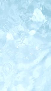 HOF Apple Cider Vinegar Plus (1 กล่อง 10 แคปซูล) ผลิตภัณฑ์เสริมอาหารแอปเปิ้ลไซเดอร์