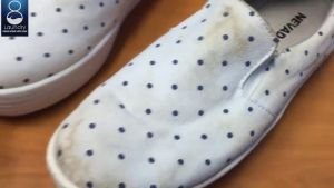 ALAT CATOK CATOKAN GANJAL PENGGANJAL PENYANGGA PENGASAK PEMBESAR SEPATU SNEAKER PANTOFEL KETS WEDGES SPORTS BASKET FUTSAL PRIA WANITA SPRING SHOE SHOES SHAPER TREE SADDLE EXPANDER STRETCHER ADJUSTABLE UNIVERSAL ALLSIZE MURAH KUAT ANTI PENYOK KERUT PECAH