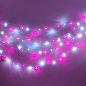 STARZ - SG SAFETY MARK 31V 10 Meter 100 Led Splash Proof Led Fairy String Lights Pink with Pure White Christmas Decoration Lights