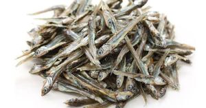Ikan Teri Asin Murah 500 Gram