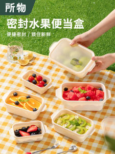 Portable Food Grade PP Lunch Box Fruit Preservation Container for Picnic Outdoor Use Sealed Storage Container by Shouwu