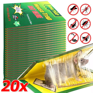 20/10 ชิ้น กาวดักหนูแบบเหนียวพิเศษ / กับดักหนูขนาดใหญ่แบบกาวเหนียวพิเศษในอาคารและกลางแจ้ง / กาวดักหนูแบบเหนียวพิเศษ / ดักหนูในร่มและกลางแจ้งได้อย่างมีประสิทธิภาพ