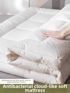 Violet | Anti Mite and Bacterial Resistance Corn Soft Mattress