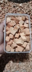 alas reptil dan media tanam cocochips cocohusk