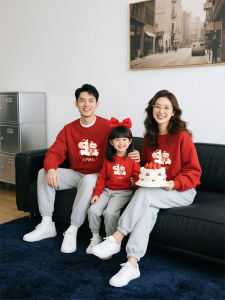 Family Matching Sweater