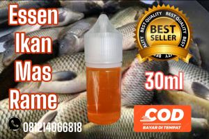 essen khusus ikan mas anti jong dijamin neter