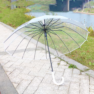 MOLORE | Large Diameter 16 Ribs Clear Long Handle Umbrella