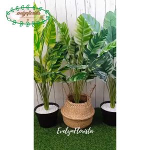 Pohon Daun Musa Florida X18 Semi Latex Artificial Pot Dasar Hitam Cover Anyaman Purun Belly Tanaman Hias Dekorasi Aesthetic Furniture Hiasan Rumah