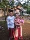 Dewifitroh24jaya