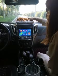 Cute Cats model In Car Bamboo Charcoal Activated Carbon Air Purifier Eliminate Odor Bad Smell Formaldehyde In Car MN03/04/05