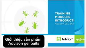 Gel sinh học diệt gián Advion Cockroach của Syngenta - Lây truyền cả đàn (Gia Đình - Văn Phòng - Xe oto) -  An toàn sức khoẻ