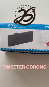 10 BUAH TWEETER CORONG TWT-306 TWEETER CORONG KOTAK TWITER CORONG TWEETER TWT 306 ups stabilizer