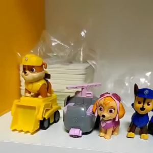13kinds Genuine Paw Patrol Everest Ryder Rex Skye Chase Rocky Zuma Vehicle with Collectible Figure Birthday Gift Children Toy