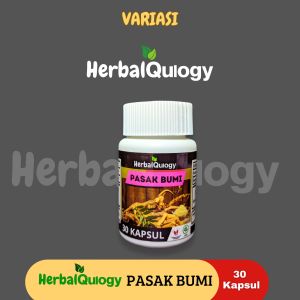 HerbalQulogy - PASAKBUMI Isi 60 & 100 Kapsul Murni Alami 100% tunggal Original 30 kapsul bumi pasak
