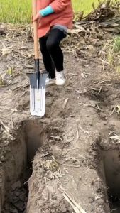 Xẻng Đào Đất Lưỡi Dài Bằng Thép Mũi Nhọn - Kích Thước 45cm x 20cm