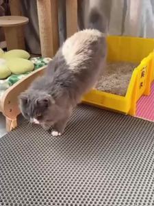 Extra Large Cat Litter Mat Double Layer Trapping Mat Easy-Clean Waterproof Urine Proof Honeycomb Design Trapping Litter Slip